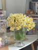 【水仙鲜切花】一束约50支/份 长约25-30cm 第二份减10元（福建仓） 商品缩略图6