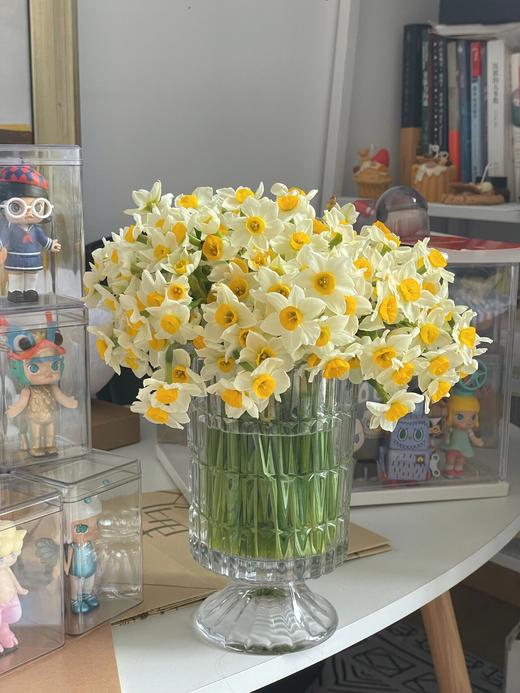 【水仙鲜切花】一束约50支/份 长约25-30cm 第二份减10元（福建仓） 商品图6