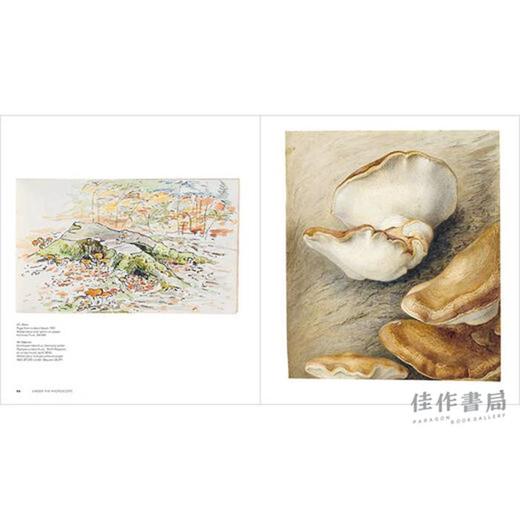 Beatrix Potter: Drawn to Nature / 碧翠丝·波特：被大自然吸引 商品图2