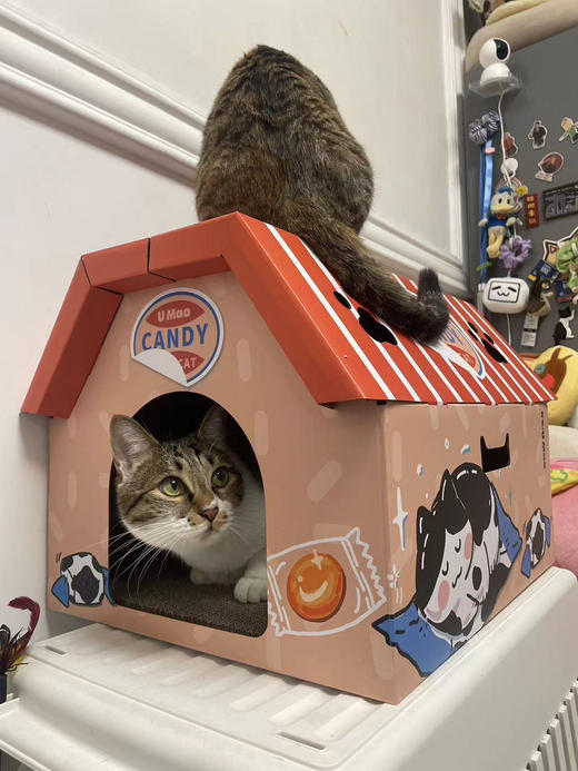 Umao有毛 奶糖橘子糖毛毛甜甜糖果猫屋猫窝  猫抓板+纸猫窝 大容量屋顶可趴 商品图6