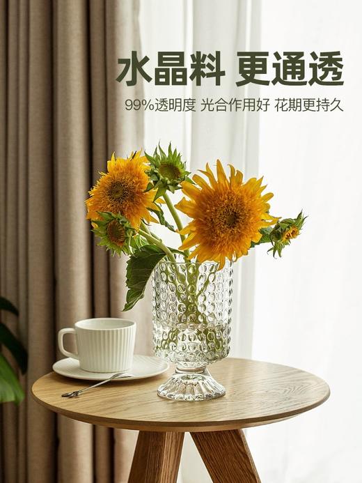 【广岛之恋.高脚杯花瓶】1个/份 四个款式随机发货（山西仓） 商品图4