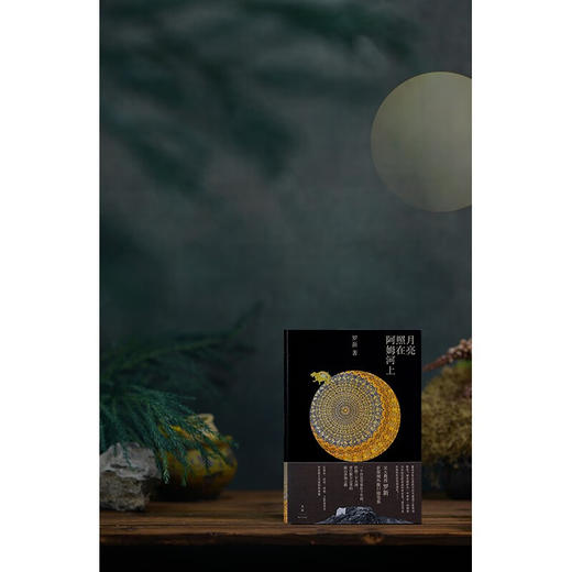 【签名本】月亮照在阿姆河上（一个历史学家在十年间，跨越三个大洲、穿行数万公里的跋山涉海之路。《从大都到上都》作者罗新首部域外旅行随笔集，在音乐、诗歌、传说、工匠技艺中求索意义与真相的旅程） 商品图5