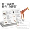 mideer弥鹿MD1382动物大套装-15pcs 商品缩略图6