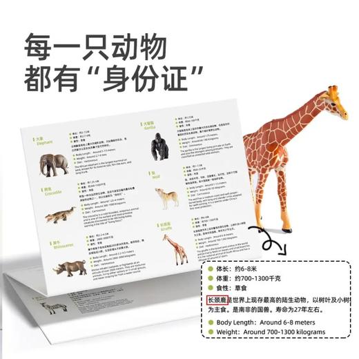 mideer弥鹿MD1382动物大套装-15pcs 商品图6
