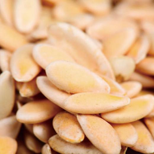 南京同仁堂黄瓜籽粉食补粉500克罐装旅销礼品500克 商品图2