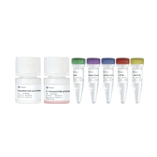 FlysisAmp Cells-to-CT 2-Step SYBR Green Kit 商品图0