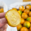 【散装6A金柑】非常大的金柑，水分足，入口饱满好吃，老少皆宜，人肺、胆经，理气解郁！ 商品缩略图0