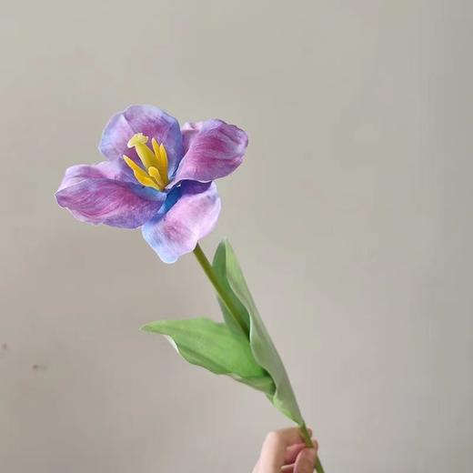 【琳琅】法式翻花郁金香/1枝装 商品图1