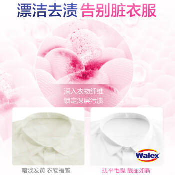 威洁士有氧彩漂 彩色衣物色渍净600g×2 彩色衣物清洁剂 抑菌去味 商品图2