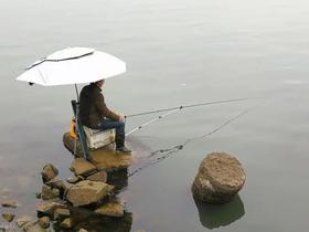  冬天最好钓的这几种鱼，再钓不到算我输咯！ 