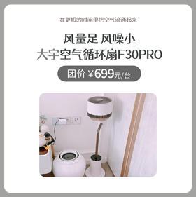 大宇空气循环扇F30PRO