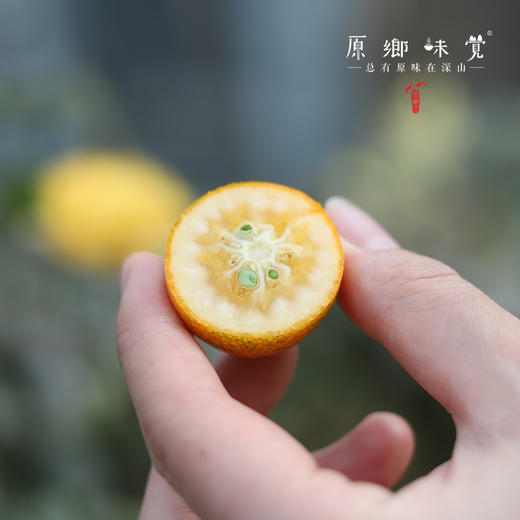 生态老品种金桔（基地直发-中通/百世包邮）| 5斤装，来自广西阳朔，生产者：黄必江【合作生产，公平贸易】 商品图2