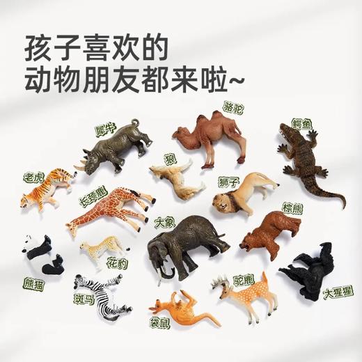 mideer弥鹿MD1382动物大套装-15pcs 商品图3