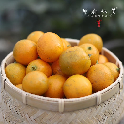 生态老品种金桔（基地直发-中通/百世包邮）| 5斤装，来自广西阳朔，生产者：黄必江【合作生产，公平贸易】 商品图7