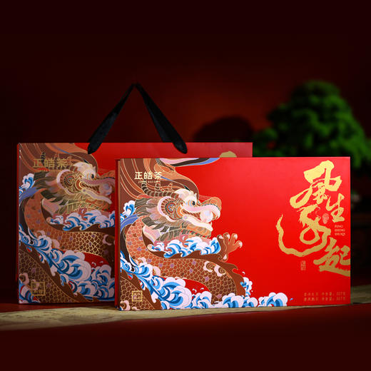正皓茶业丨风生水起 东方茶礼 普洱茶双饼礼盒 勐海普洱熟茶357g*1饼+勐海普洱生茶饼*1饼 礼盒配手提袋 送长辈送领导 送朋友 商品图2