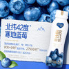 纯甄原味轻酪乳/甄酸奶蓝莓味风味酸牛乳 230g×10瓶 （新老包装随机发货） 生产日期：2025/1/13 商品缩略图10