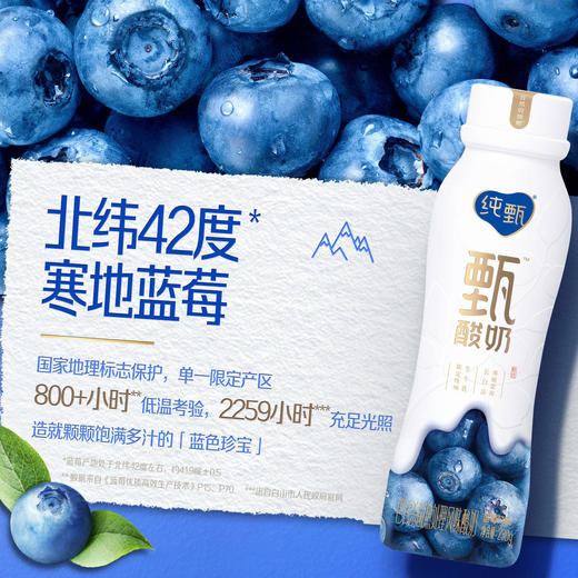纯甄原味轻酪乳/甄酸奶蓝莓味风味酸牛乳 230g×10瓶 （新老包装随机发货） 生产日期：2025/1/13 商品图10