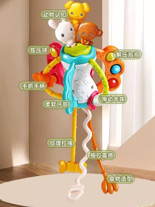 谷雨婴儿抽抽乐玩具手部精细拉拉乐3宝宝0一1岁9益智六早教6个月 商品图3