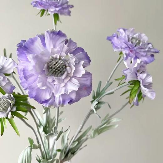 【仿真花】法式高级感仿真花松虫草-紫色 商品图0