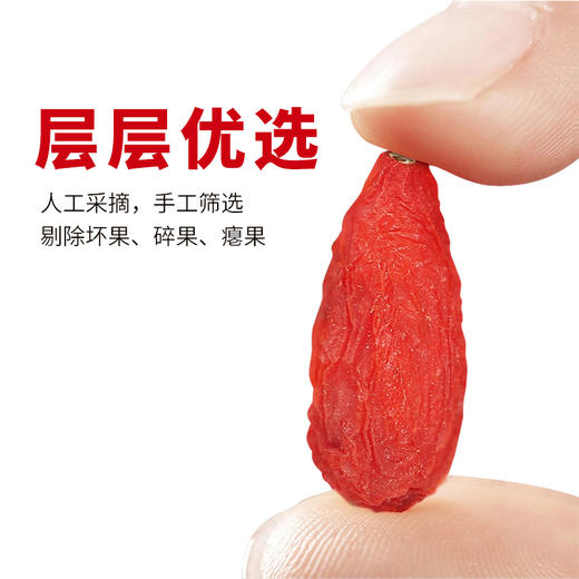西御农柴达木红枸杞正宗青即食红枸杞大颗粒特级免洗大果无硫磺250克 商品图5