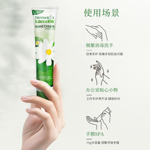 贺本清 小甘菊经典护手霜 75ml 商品图1