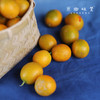生态老品种金桔（基地直发-中通/百世包邮）| 5斤装，来自广西阳朔，生产者：黄必江【合作生产，公平贸易】 商品缩略图1