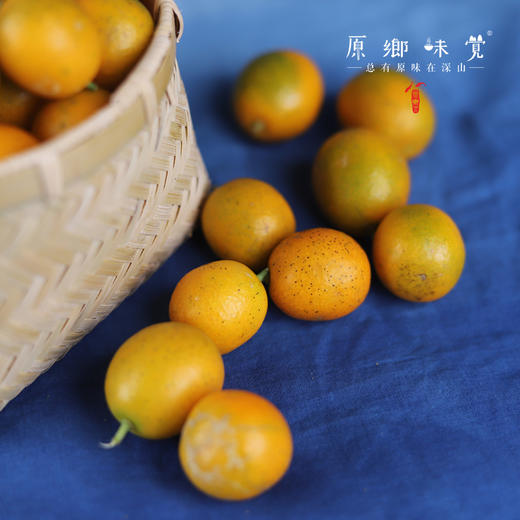 生态老品种金桔（基地直发-中通/百世包邮）| 5斤装，来自广西阳朔，生产者：黄必江【合作生产，公平贸易】 商品图1