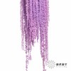 永生花材 | 吊米紫色 商品缩略图0