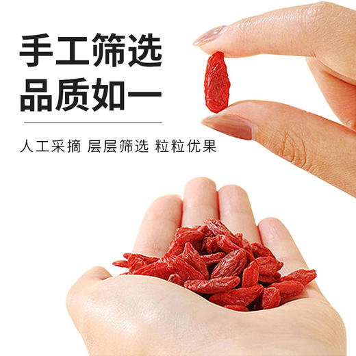 西御农柴达木红枸杞正宗青即食红枸杞大颗粒特级免洗大果无硫磺250克 商品图2