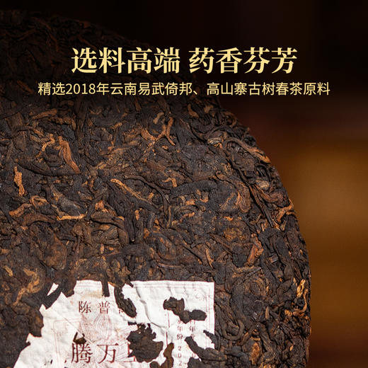 2024年生肖纪念茶龙腾万里普洱熟茶366g饼选料高端药香芬芳正好适饮收藏更佳 商品图1