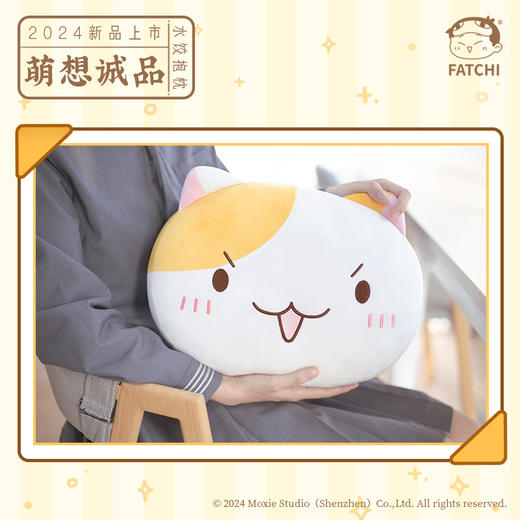 萌想诚品【水饺抱枕】如果历史是一群喵官方抱枕 商品图3