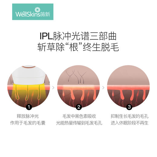 薇新  WX-TM300 激光脱毛器 商品图1