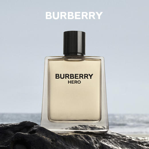 【新品上架】BURBERRY巴宝莉骏勇之心男士100mlEDT 商品图1