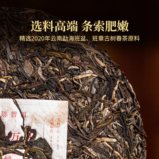 2024年龙腾万里366g龙年生肖纪念饼云南七子饼茶普洱生茶花果香 商品图1