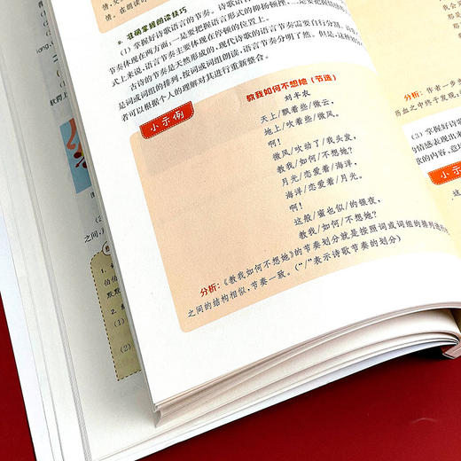 幼儿教师口语 第二版 畅听版 宋玮 李哲 商品图7