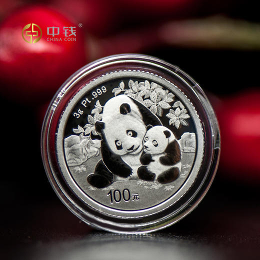 2024年熊猫金币 铂金币 3克30克铂金币 铂金猫 商品图4