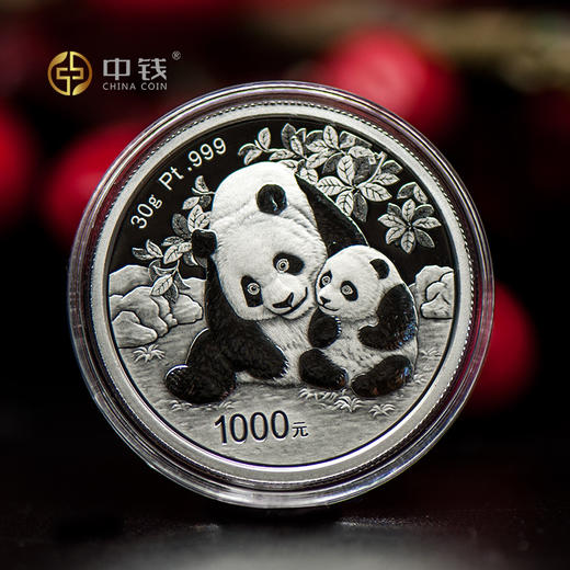 2024年熊猫金币 铂金币 3克30克铂金币 铂金猫 商品图3