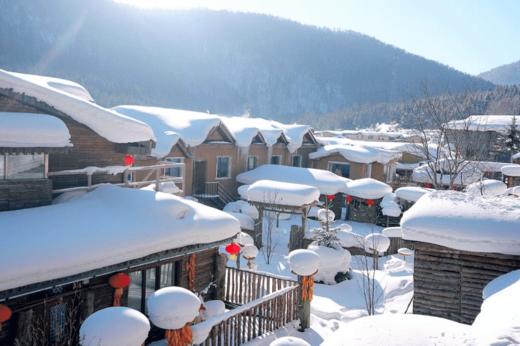 限时早鸟减¥1000【2026寒假| 哈尔滨B线-奇幻雪国6天5晚亲子营】雪乡连住2晚深度38h，北极熊酒店与熊“共眠”，亚布力滑雪温泉，喂东北虎，雪地摩托穿越林海雪原，硬核雪国之旅！哈尔滨集散 商品图2