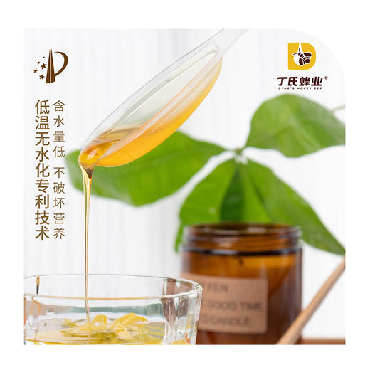 云南高原独立小包装勺子蜜 商品图2