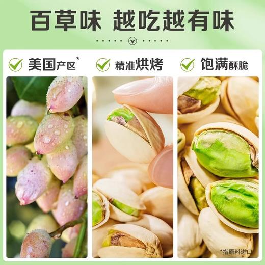 【网红休闲零食】百草味开心果100g，原色无漂白食品，惊艳味蕾的网红休闲零食。享受年货小吃的独特魅力，尽情品味办公室时光中的美好，带来无尽开心时光！ 商品图1