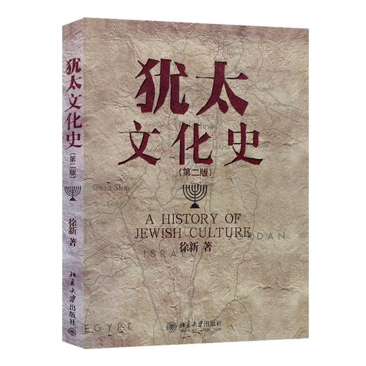 犹太文化史(第二版) 徐新 著 北京大学出版社 商品图0