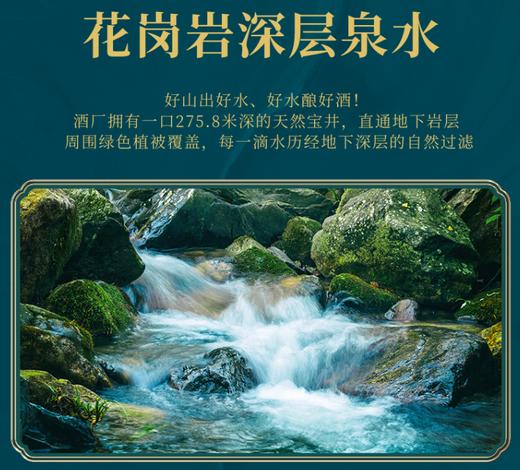 AY宝岛阿里山高粱酒 商品图5