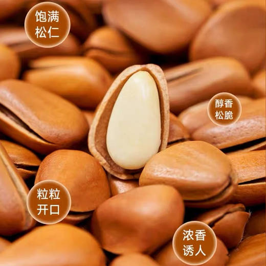 【疆品南下】西圣开口松子200g 商品图3