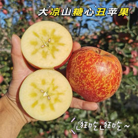 【脆甜可口】大凉山盐源糖心丑苹果·高海拔产区
