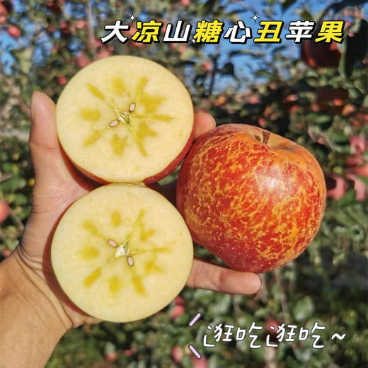 【脆甜可口】大凉山盐源糖心丑苹果·高海拔产区 商品图0