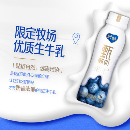 纯甄原味轻酪乳/甄酸奶蓝莓味风味酸牛乳 230g×10瓶 （新老包装随机发货） 生产日期：2025/1/13 商品图8