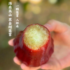 【黑金刚】海南高山莲雾  慢生慢长自然成熟，果肉透白细腻，清冽中透着甘甜，顺丰空运