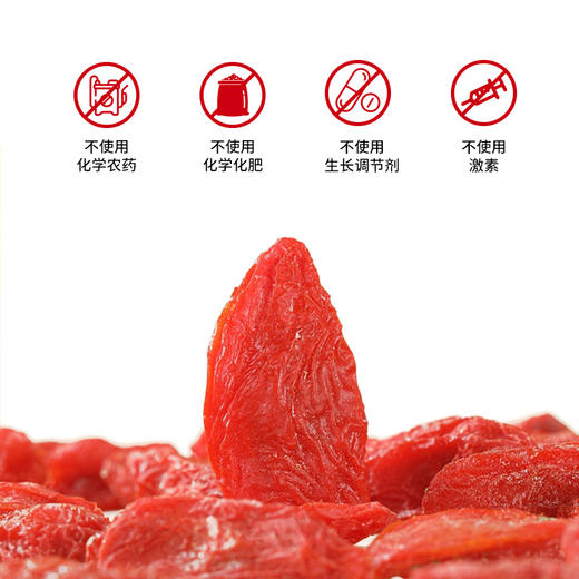 西御农柴达木红枸杞正宗青即食红枸杞大颗粒特级免洗大果无硫磺250克 商品图6