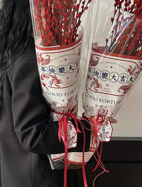 【琳琅】港风新年包装纸