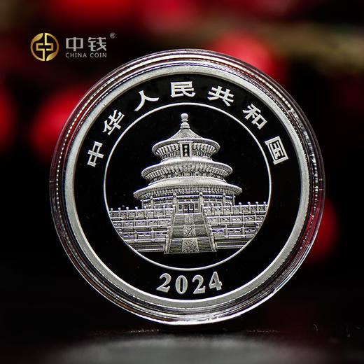 2024年熊猫金币 铂金币 3克30克铂金币 铂金猫 商品图5